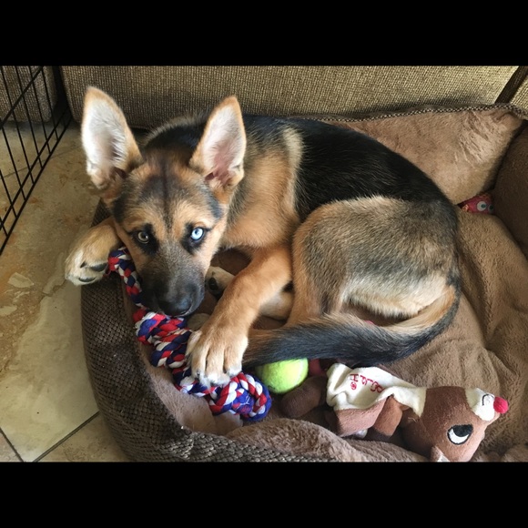 Meet your Posher, Renee - Picture 1 of 1